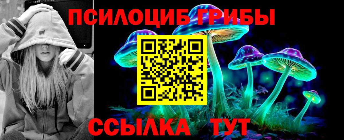 Галлюциногенные грибы Psilocybe Коммунар
